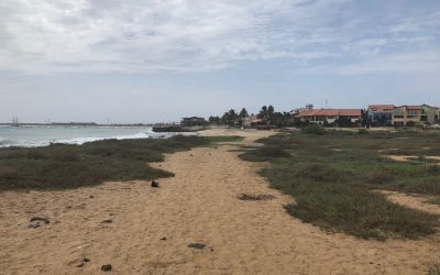 #31 Landrattenblog 16, Wanderung in den Westen, Teil 12